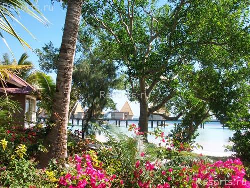 Coral Palms Island Resort 14